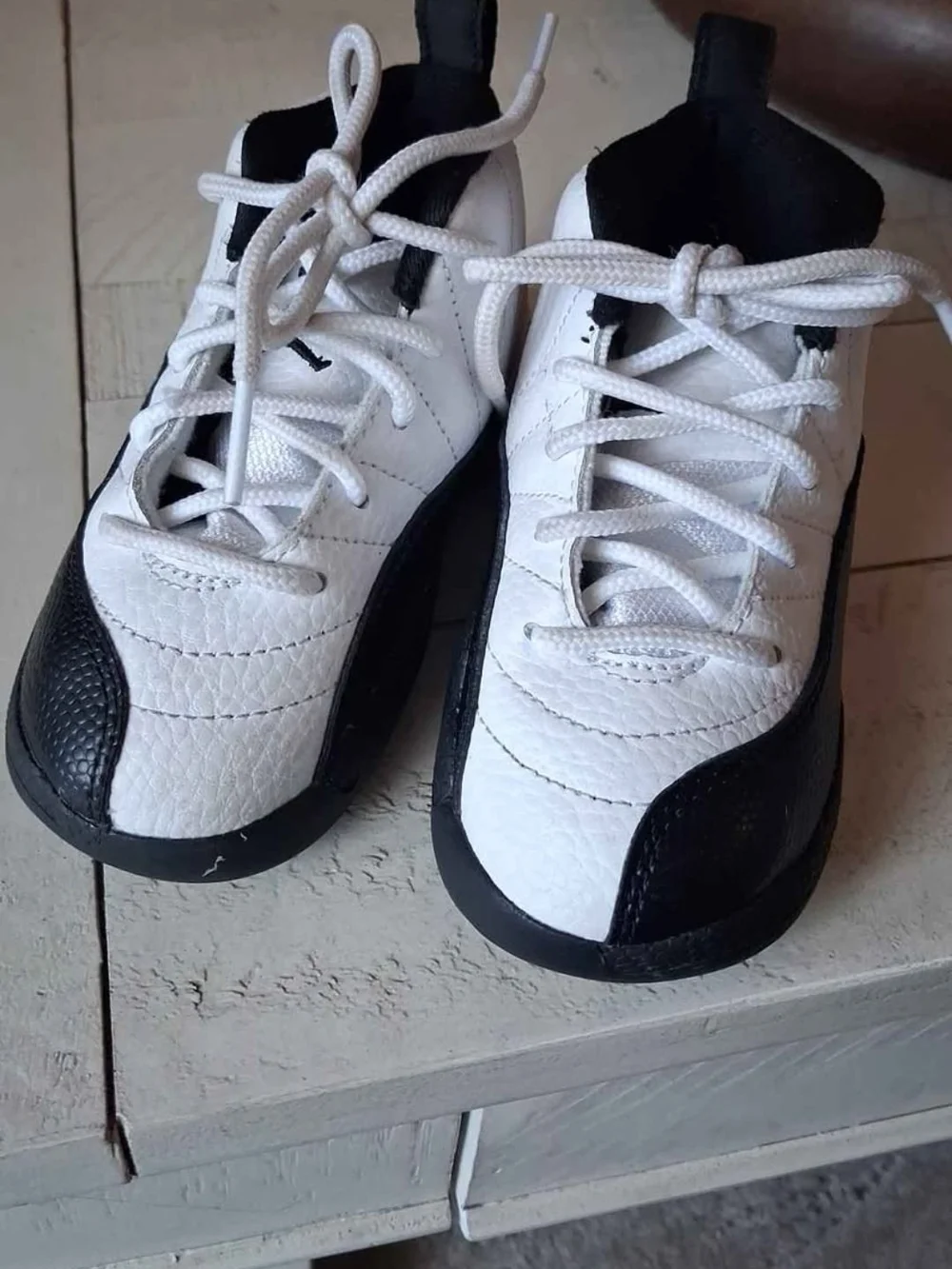 Air JORDAN RETRO 12 TD Size 7.5